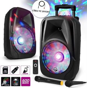 Enceinte mobile Sono DJ PA Karaoké 600W 12" LED USB/BT/SD/PC + 2 Micros + Effet MagicBall Friztal rotatif